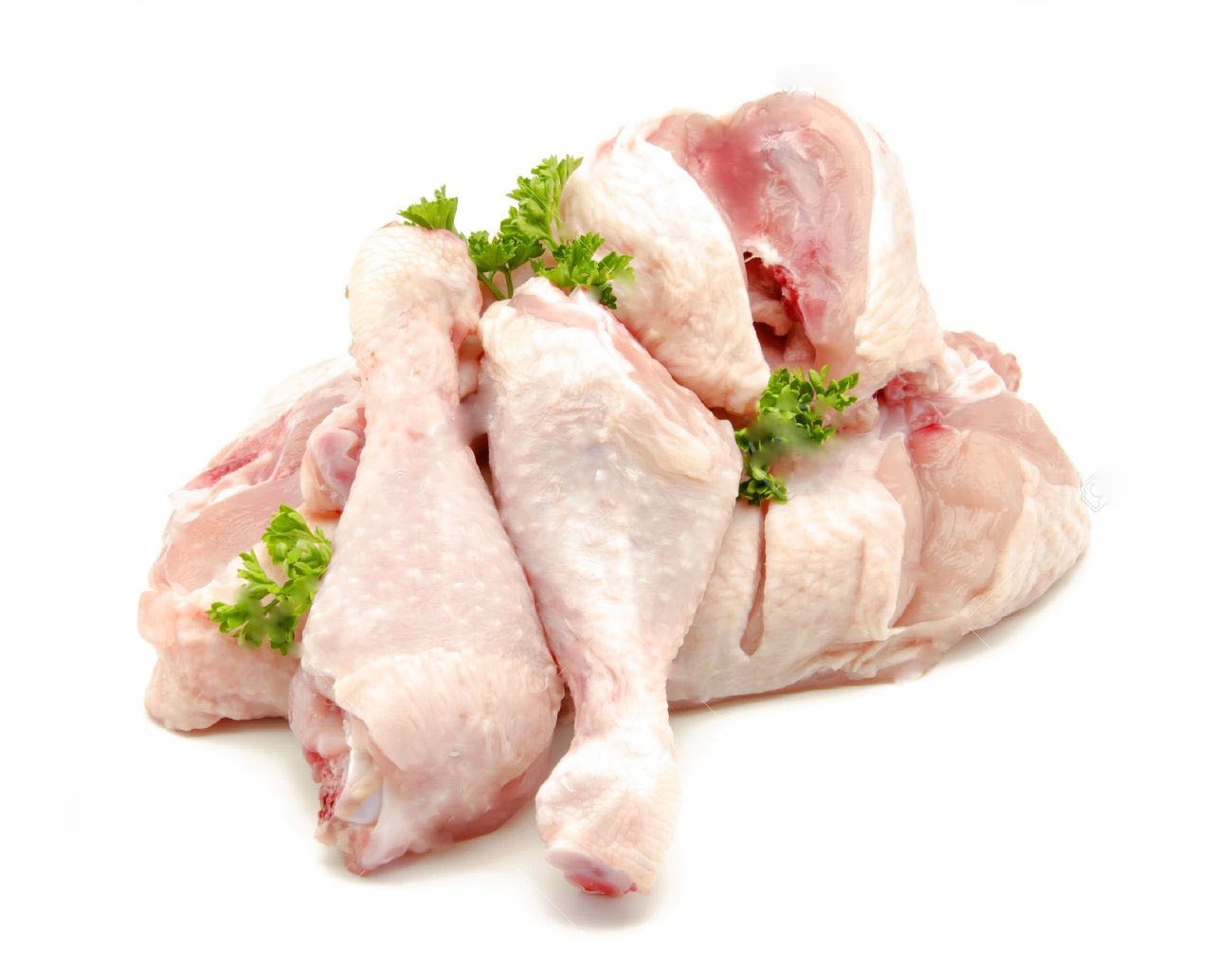 chicken_1