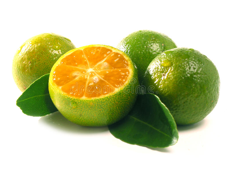 lime_1